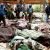 Massacre de Qana