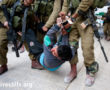 Violence forces israéliennes d'occupation