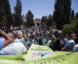 Photo: Fiaz Abu-Rmeleh/Activestills.org