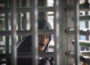 Photo : ActiveStills