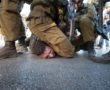 Photo : Ryan Rodrick Beiler/ActiveStills.org